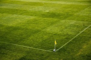 betfan kod promocyjny